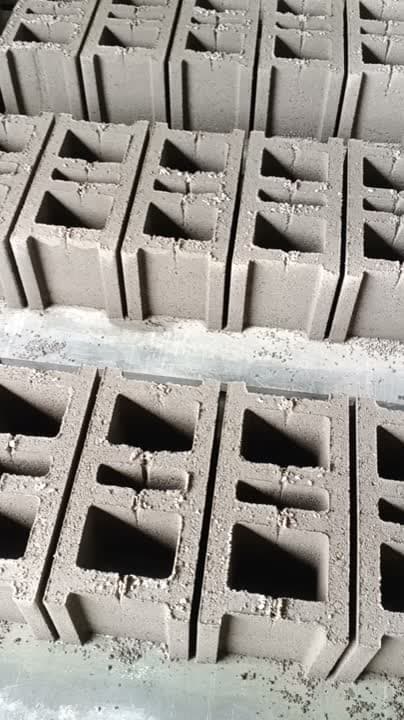 Freshly pressed hollow blocks curing in rows in the yard